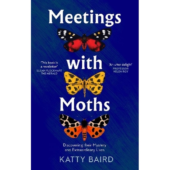 Meetings with Moths image 0