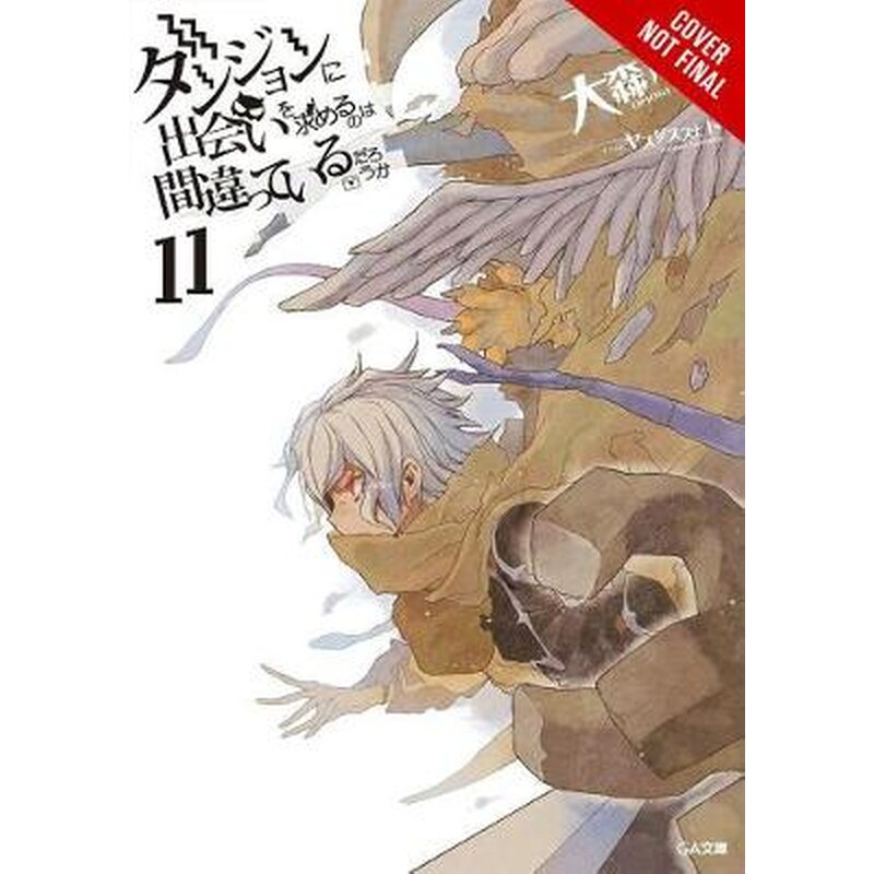 Is It Wrong to Try to Pick Up Girls in a Dungeon?, Vol. 11 (light novel)