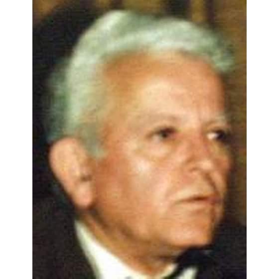 Νικηφόρος Μανδηλαράς image 1