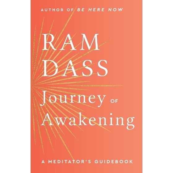 Journey of Awakening image 0
