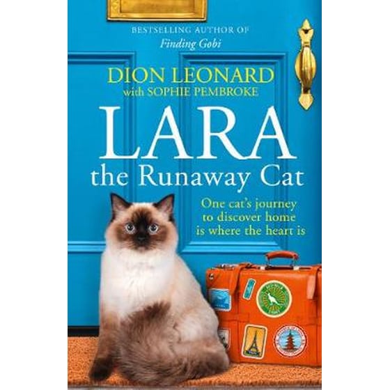 Lara The Runaway Cat image 0