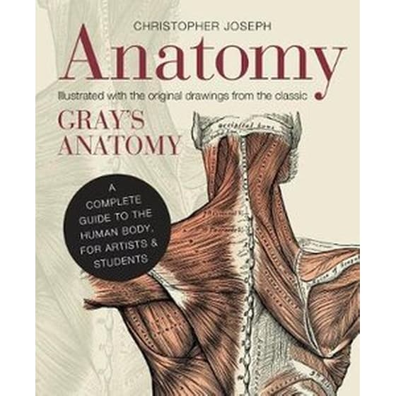 Anatomy image 0