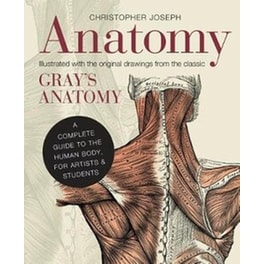 Anatomy