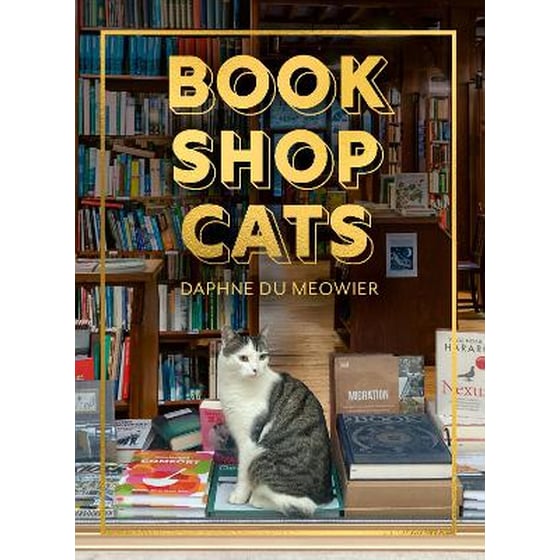 Bookshop Cats image 0