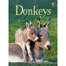 Donkeys