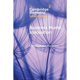 Business Model Innovation