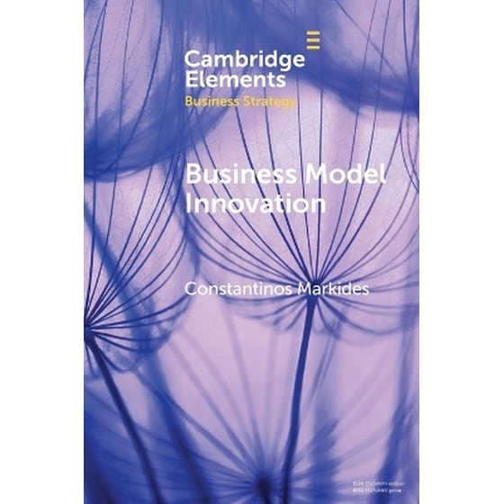 Business Model Innovation image 0