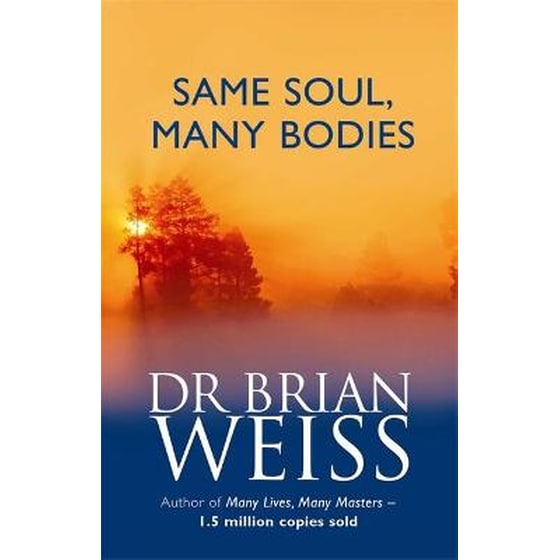 Same Soul, Many Bodies image 0