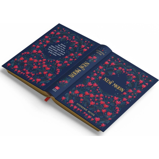 New Moon Deluxe Collector's Edition image 4