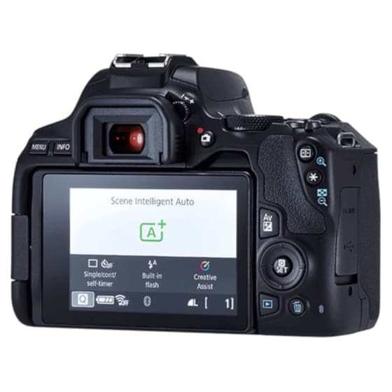 DSLR Canon EOS 250D & Φακός 18-55mm IS STM - Μαύρο image 3