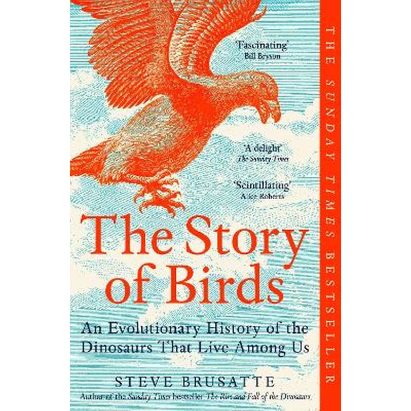 The Story of Birds