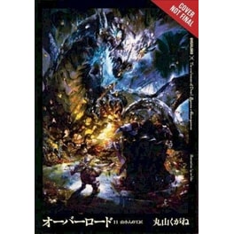 Overlord Vol. 11 (light novel)