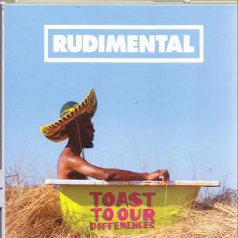 Toast To Our Differences (Dlx)