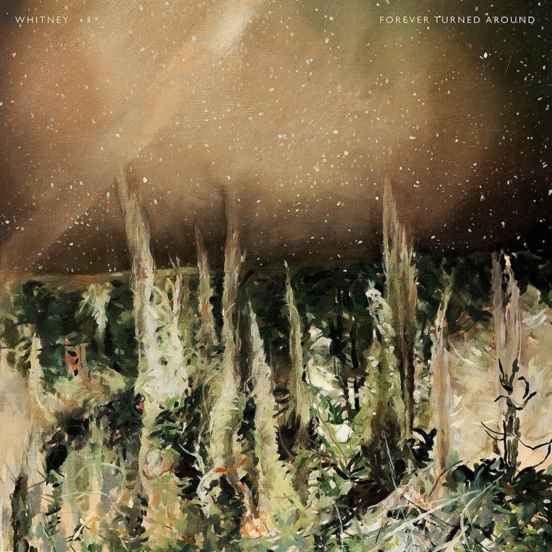 Forever Turned Around (Forest Bark)