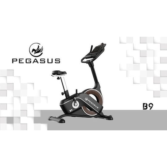 Όρθιο Ποδήλατο PEGASUS B9 Μαγνητικό Με Ροδάκια Μαύρο image 3