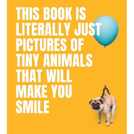 This Book Is Literally Just Pictures of Tiny Animals That Will Make You Smile image 0