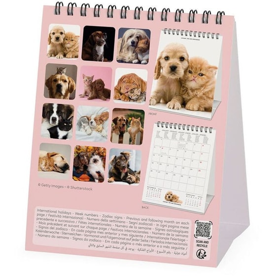 Ημερολόγιο Γραφείου Legami 2026 Best Friends image 3