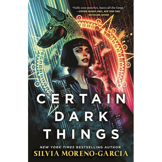 Certain Dark Things image 0