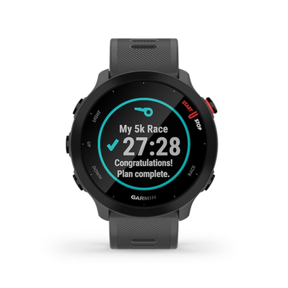 Garmin Forerunner 55 42mm (Monterra Grey) image 2