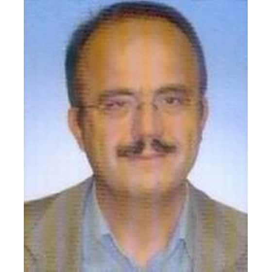 Μουσικό σεργιάνι image 1
