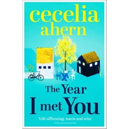 The Year I Met You