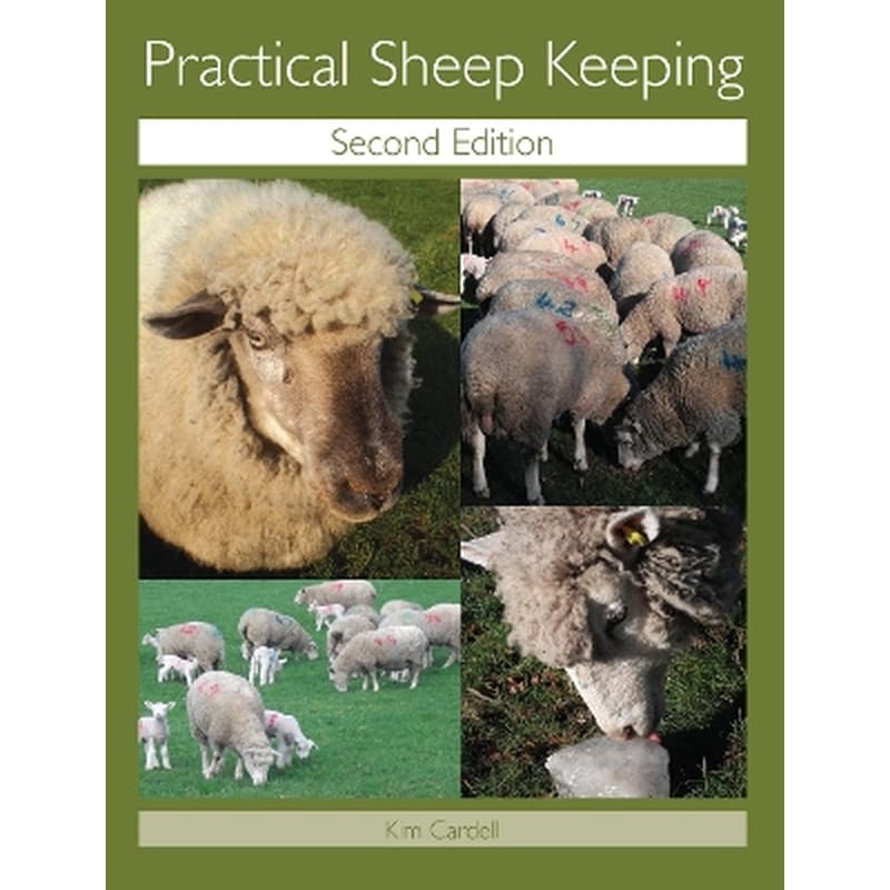 Practical Sheep Keeping