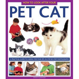 How to Look After Your Pet Cat