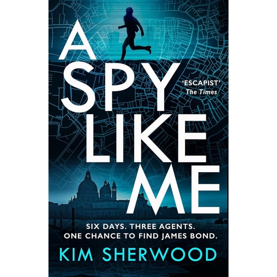 A Spy Like Me image 0