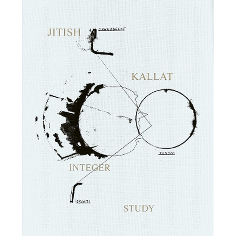 Jitish Kallat - Integer Study