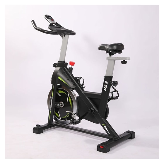 PEGASUS  PG3 Ποδήλατο Spinning Μαγνητικό με Ροδάκια image 1
