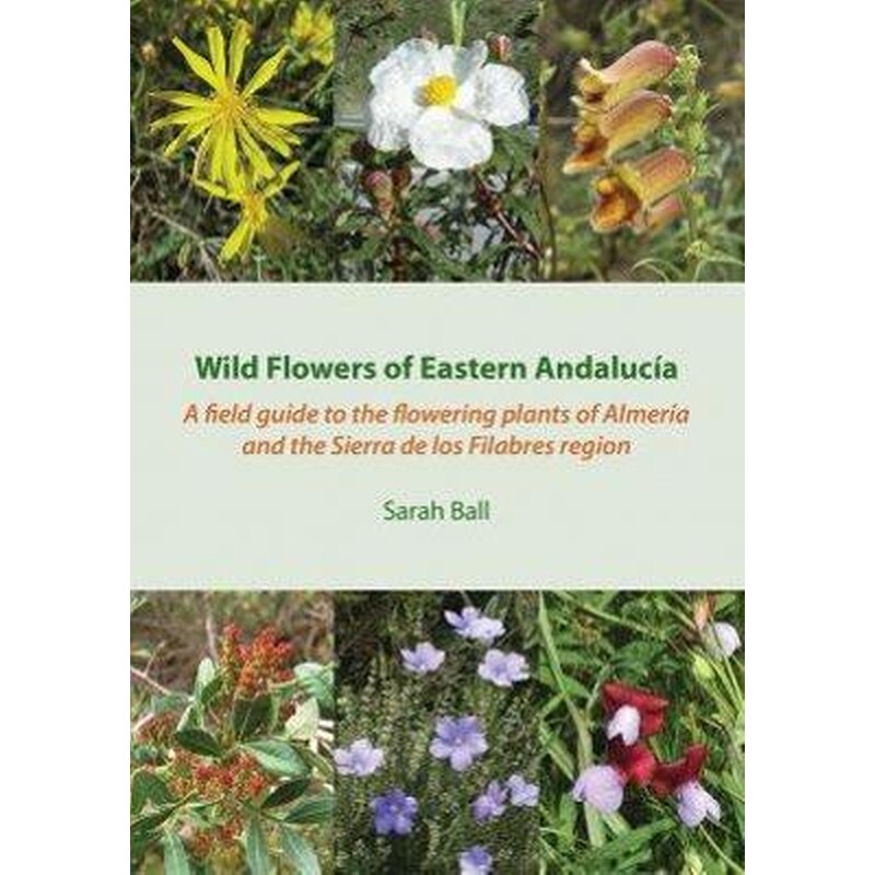 Wild Flowers of Eastern Andalucía