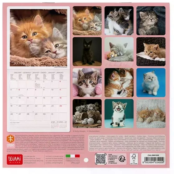 Ημερολόγιο Τοίχου Legami 2026 Kittens 18x18cm image 1
