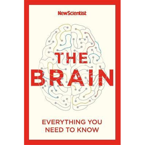 The Brain : Everything You Need to Know image 0