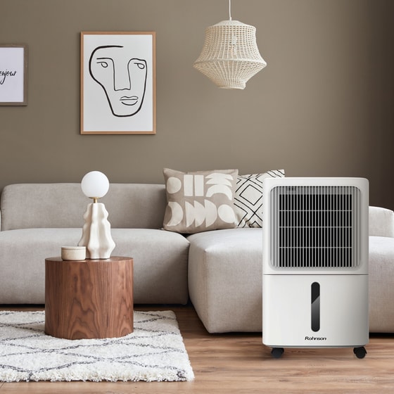 ROHNSON R-91810 Αφυγραντήρας 10 lt με Ιονιστή image 4