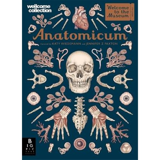 Anatomicum image 0