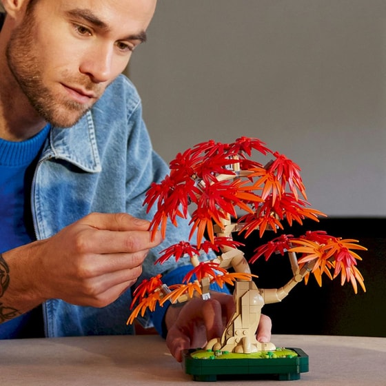 LEGO® Botanicals Japanese Red Maple Bonsai Tree (10348) image 3