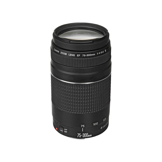 Canon EF 75-300 mm f/4 - 5.6 III - Canon DSLR Lens image 1
