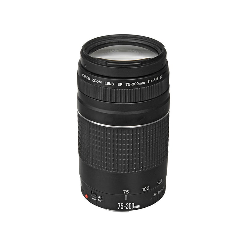 Canon EF 75-300 mm f/4 - 5.6 III - Canon DSLR Lens | Public