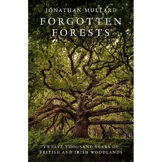 Forgotten Forests image 0