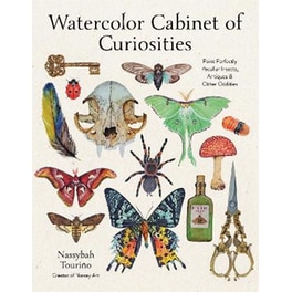 Watercolor Cabinet of Curiosities