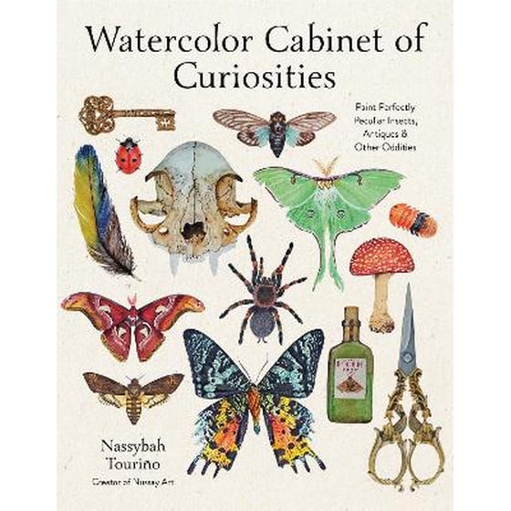 Watercolor Cabinet of Curiosities image 0
