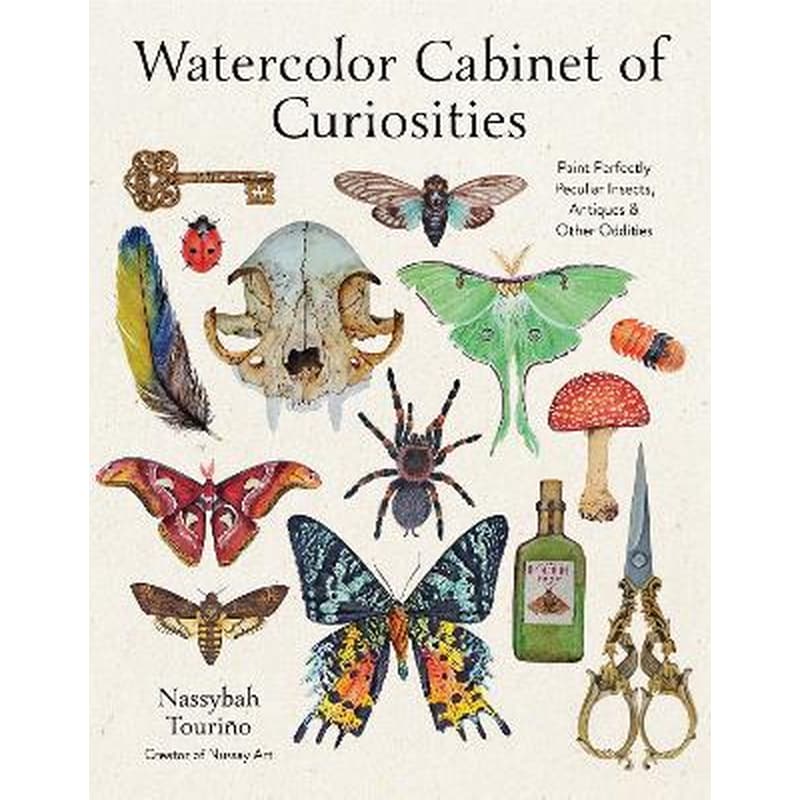Watercolor Cabinet of Curiosities