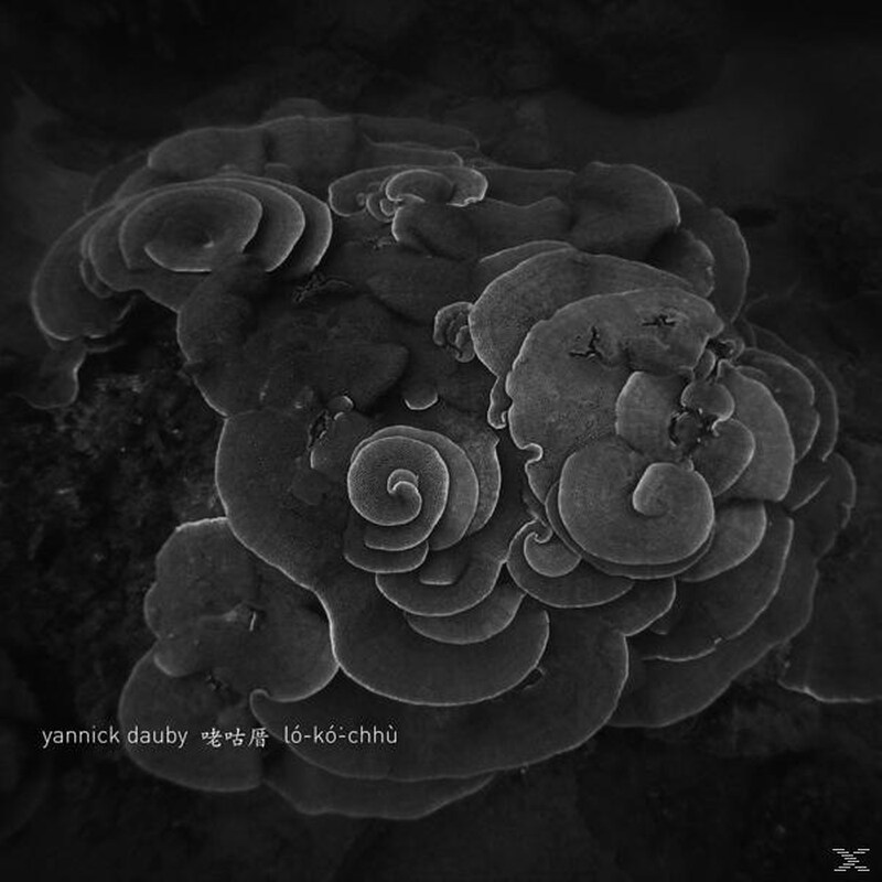 (Coral House) Penghu Experimental Sound (...)