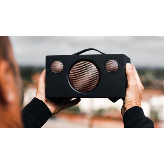 Φορητό Ηχείο Audio Pro T3+ Wargenbrant Limited Edition 25W - Μαύρο image 1