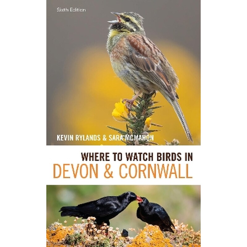 Where to Watch Birds in Devon and Cornwall