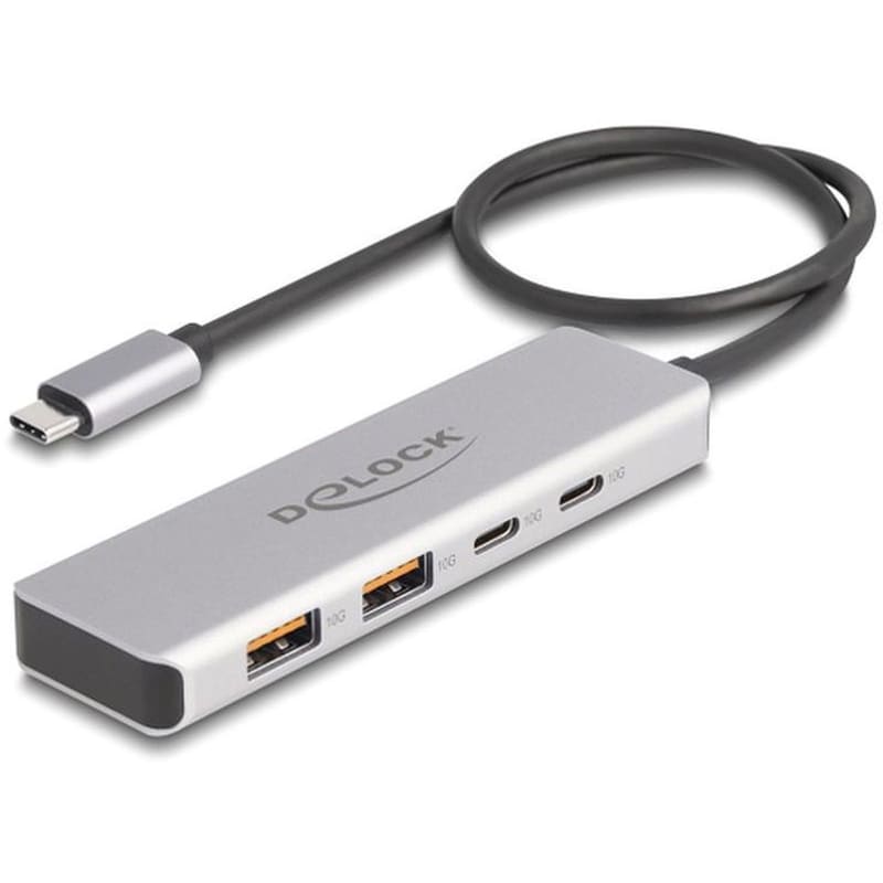 Delock 64230 USB Hub 3.1 με 4 θύρες - Γκρι