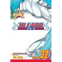 Bleach, Vol. 32