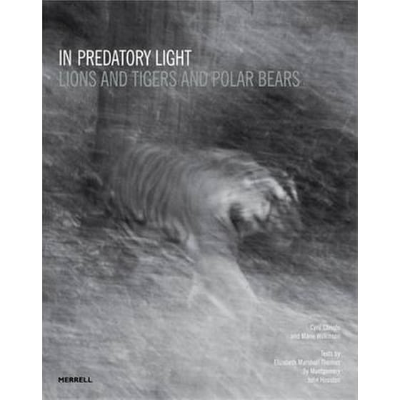 In Predatory Light: Lions and Tigers and Polar Bears image 0