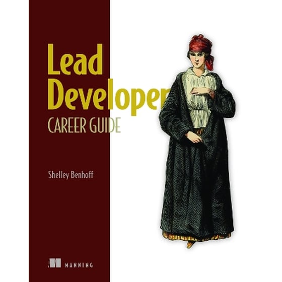 Lead Developer Career Guide image 0