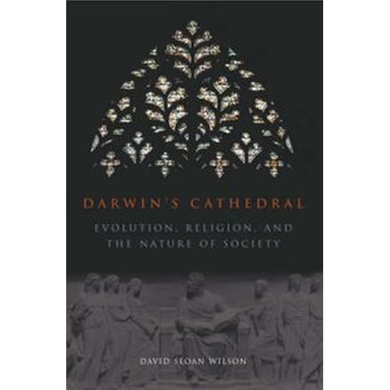 Darwin`s Cathedral - Evolution, Religion, and the Nature of Society image 0